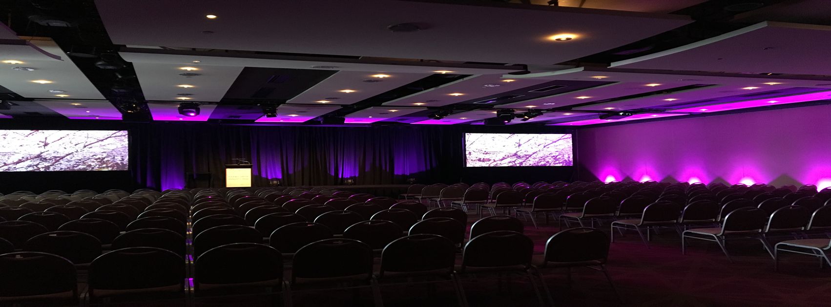 corporate event dj 2.jpg